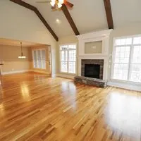 Our gallery